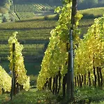 Magnifique Le Clos Des Pierres Route Des Vins D'alsace * Beblenheim