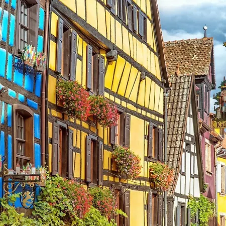 Magnifique Le Clos Des Pierres Route Des Vins D'alsace Appartement
