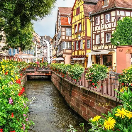 Lägenhet Magnifique Le Clos Des Pierres Route Des Vins D'alsace *